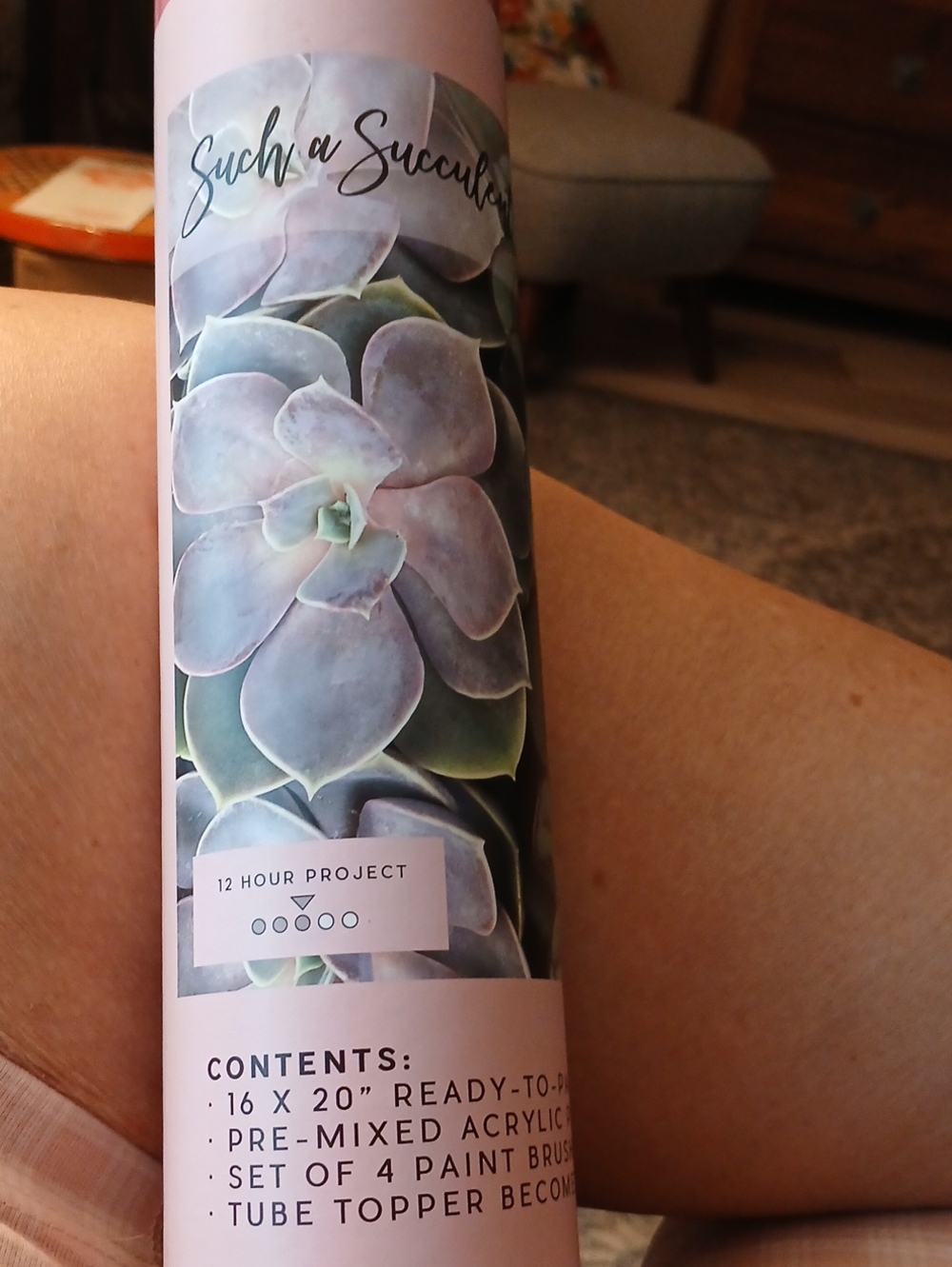 Succulent Wall Art Paint-by-Number Kit in Pale Green & Blush